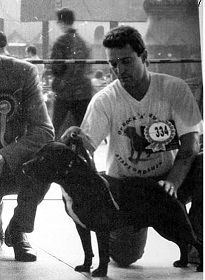 CH. Dinamite boy of rockabilly